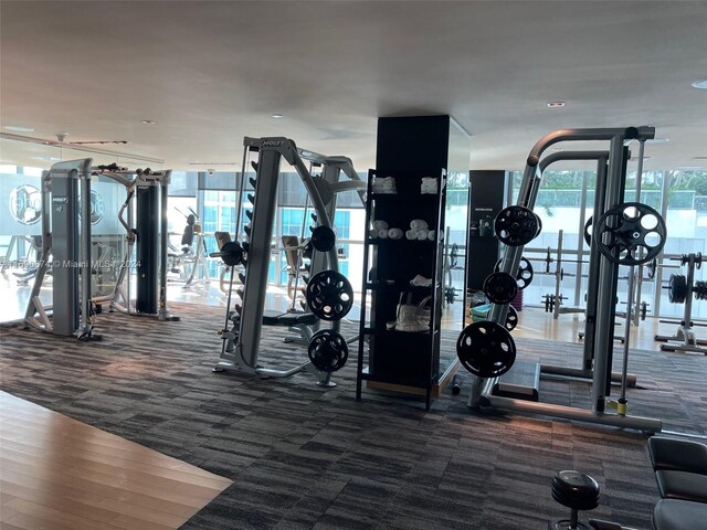 gym with dark colored carpet