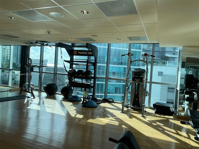 gym with a paneled ceiling, hardwood / wood-style flooring, and floor to ceiling windows