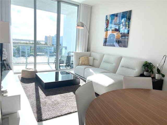 living room with expansive windows