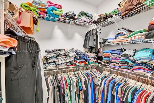 view of spacious closet