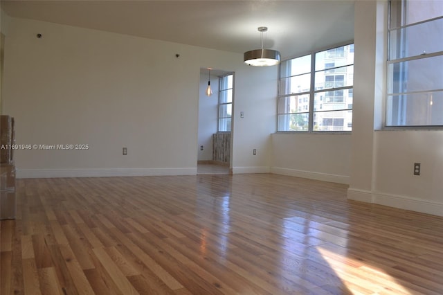 empty room with hardwood / wood-style flooring