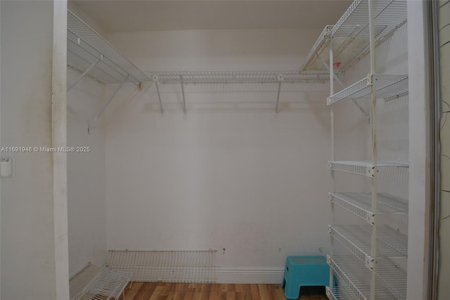 spacious closet featuring hardwood / wood-style floors