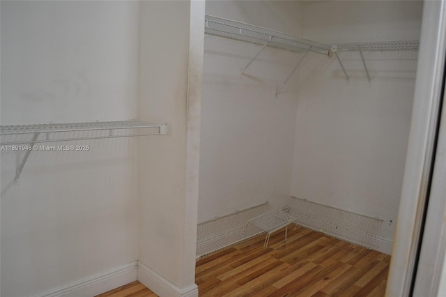 walk in closet featuring wood-type flooring