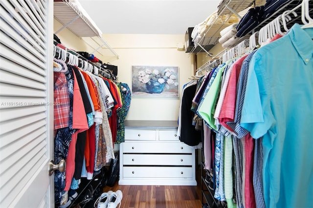 walk in closet featuring dark hardwood / wood-style flooring