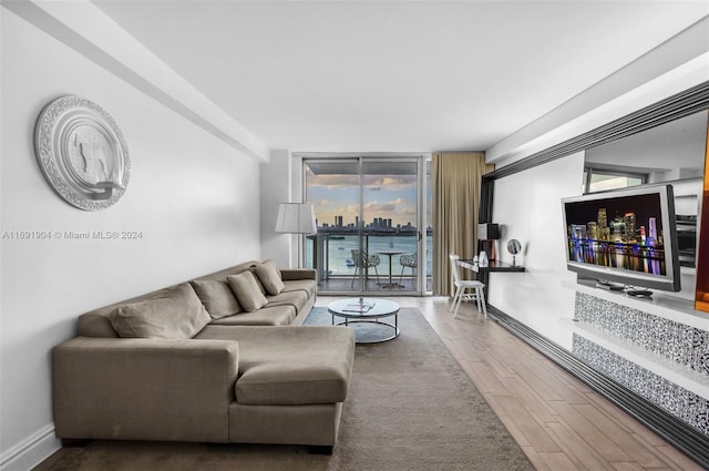 living room featuring hardwood / wood-style flooring