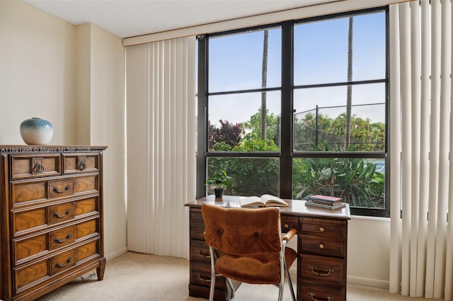 office area featuring light colored carpet