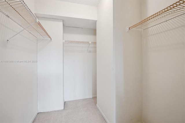 spacious closet featuring carpet