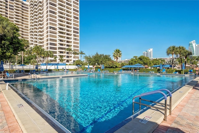 view of pool with a patio area