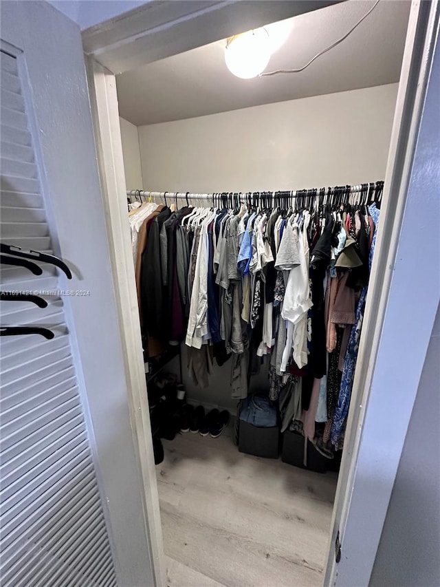 spacious closet with hardwood / wood-style floors