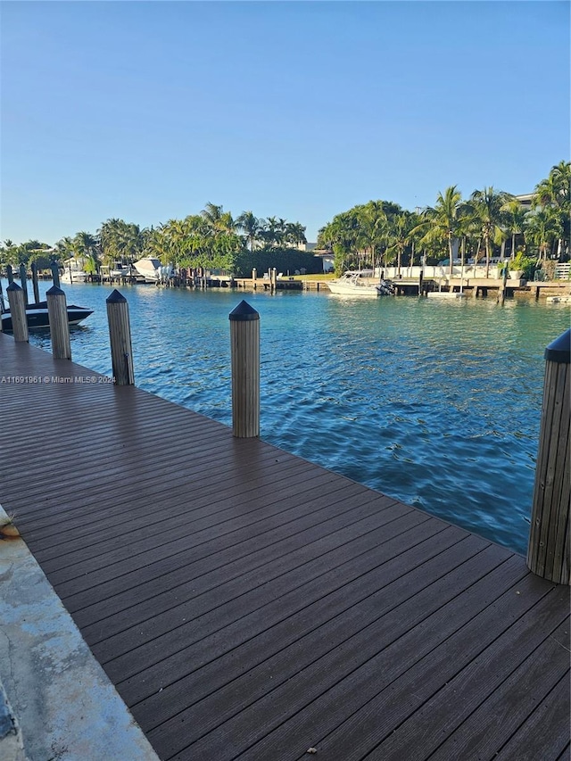 dock area with a water view