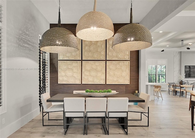 dining room with light hardwood / wood-style flooring