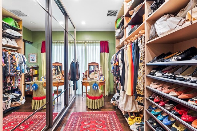 spacious closet featuring dark hardwood / wood-style floors