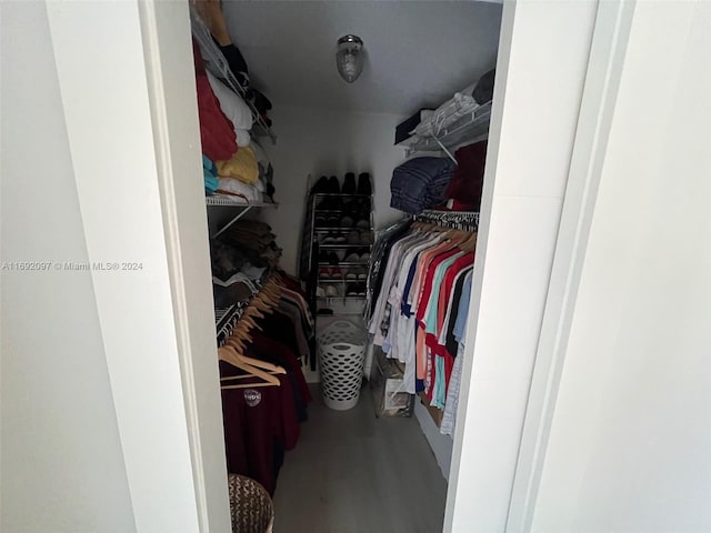 view of spacious closet