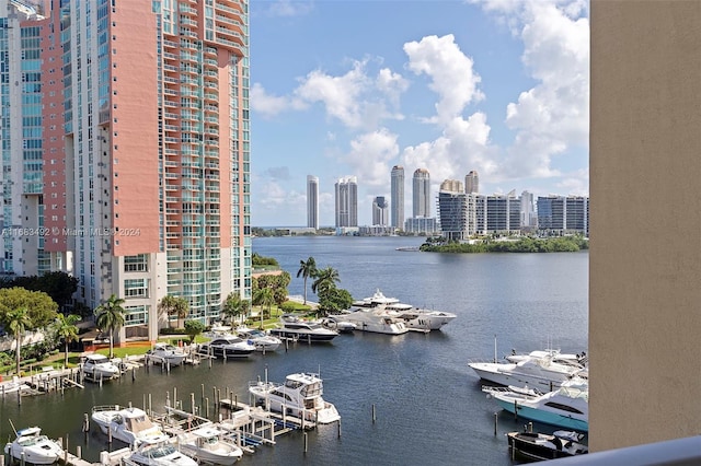 property view of water with a boat dock