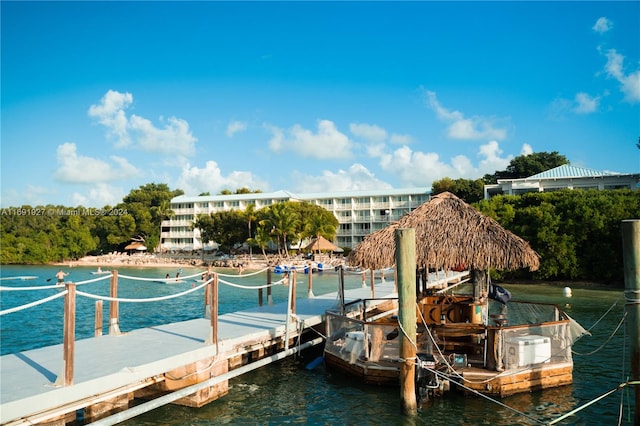 dock area with a water view