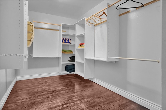 spacious closet featuring dark wood-type flooring