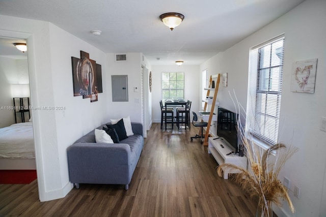 living room featuring dark hardwood / wood-style flooring, electric panel, and plenty of natural light