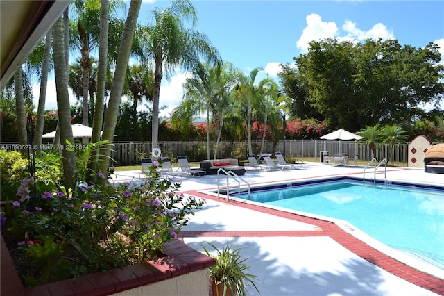 view of pool featuring a patio area