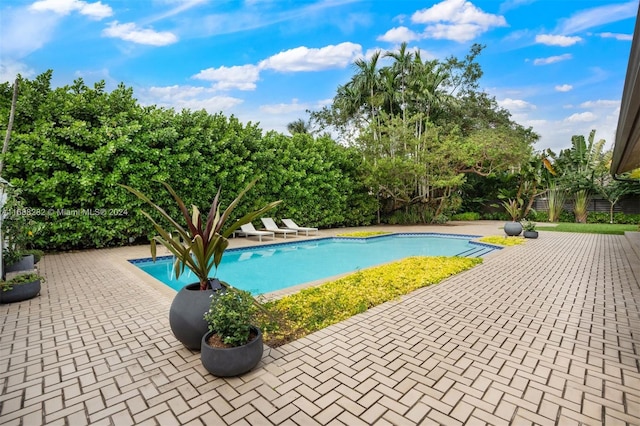 view of swimming pool with a patio