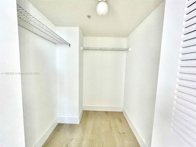 spacious closet with light wood-type flooring