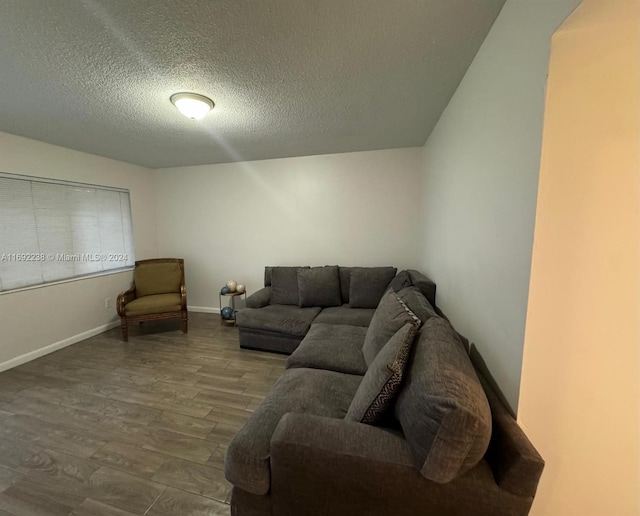 living room with a textured ceiling and hardwood / wood-style flooring