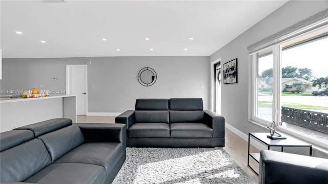 living room with light hardwood / wood-style floors