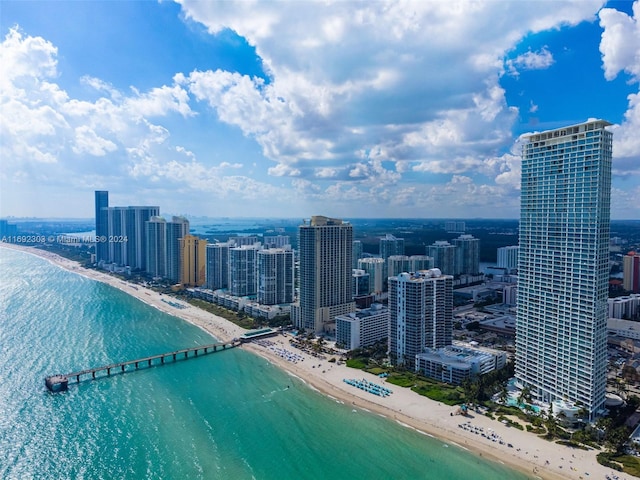 aerial view featuring a beach view and a water view