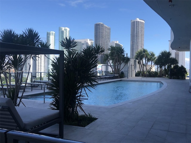 view of swimming pool with a patio