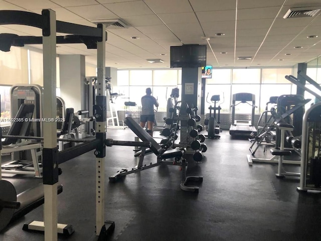 workout area with expansive windows and a paneled ceiling