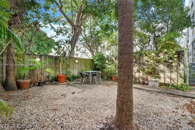 view of yard with a patio