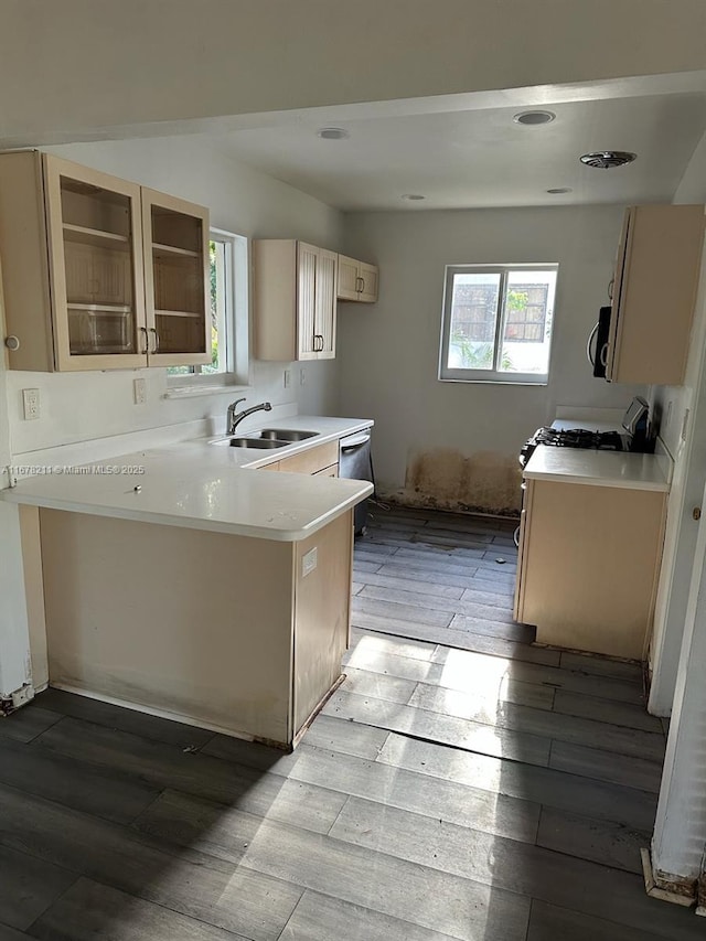 kitchen featuring light wood-style flooring, a sink, a healthy amount of sunlight, and appliances with stainless steel finishes
