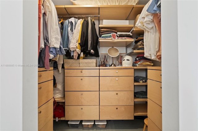 view of spacious closet