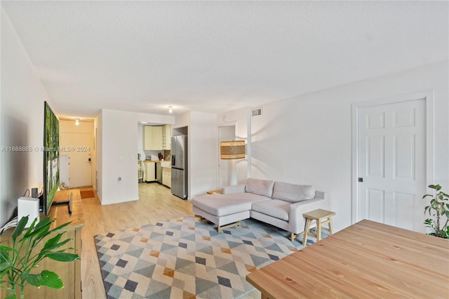 living room with a textured ceiling and light hardwood / wood-style floors