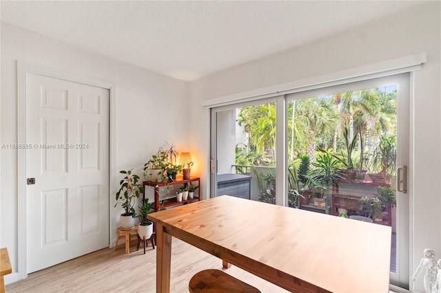 interior space featuring light hardwood / wood-style floors