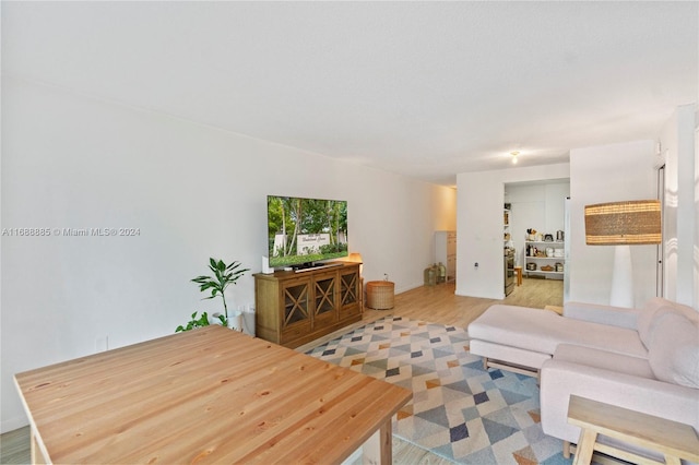 living room featuring light wood-type flooring