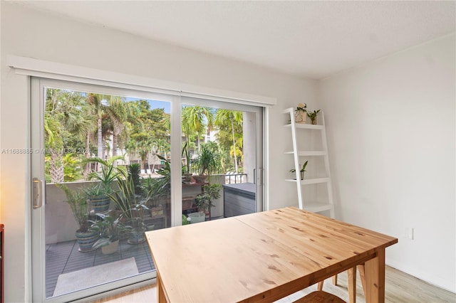 dining area with light hardwood / wood-style floors