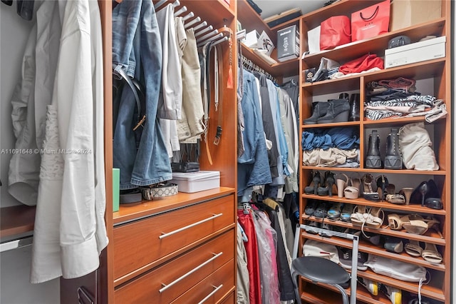 view of spacious closet