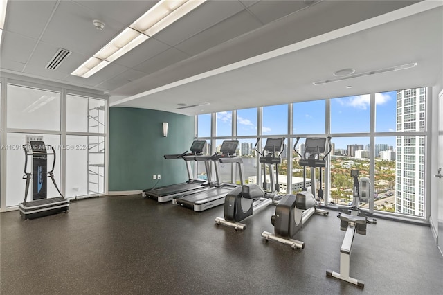 workout area featuring a wall of windows and a wealth of natural light