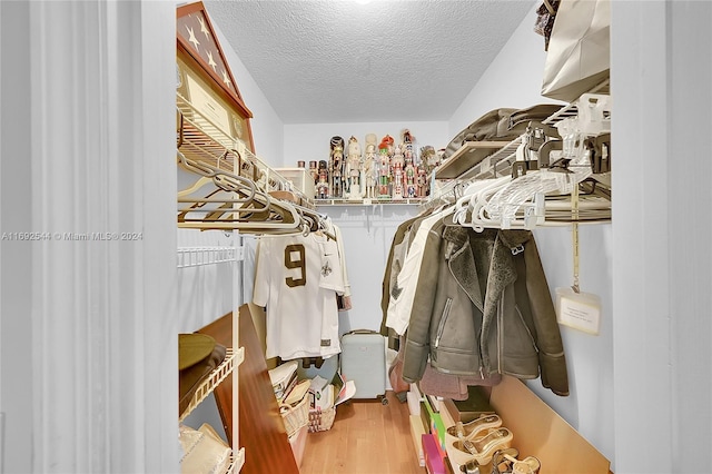 spacious closet with wood-type flooring