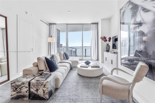 carpeted living room with a wall of windows and plenty of natural light