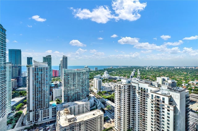 45 SW 9th St Unit 4306, Miami, FL 33130 - city view