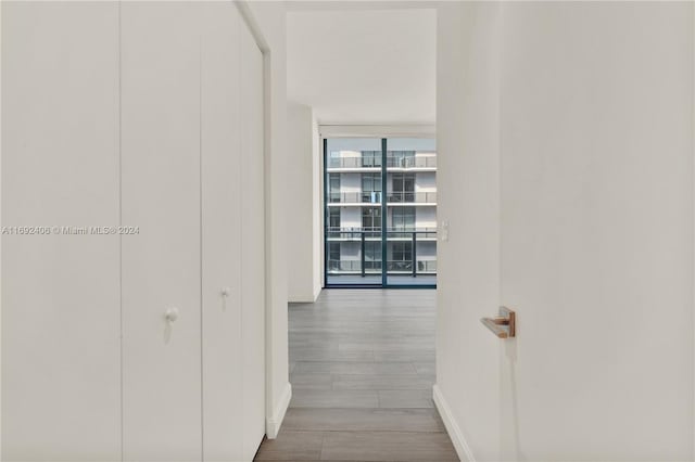 hall with light hardwood / wood-style floors and floor to ceiling windows