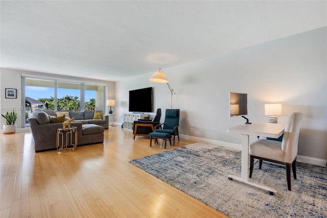 living room featuring light hardwood / wood-style floors