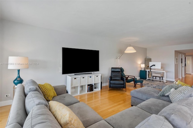 living room with light hardwood / wood-style floors