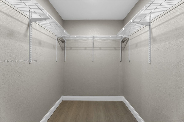 walk in closet featuring wood-type flooring