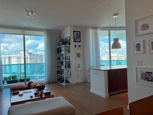 living room featuring light wood-style floors, a wall of windows, and a city view