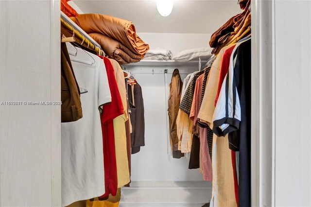 2951 E Sunrise Lakes Dr Unit 209, Sunrise, FL 33322 - view of spacious closet