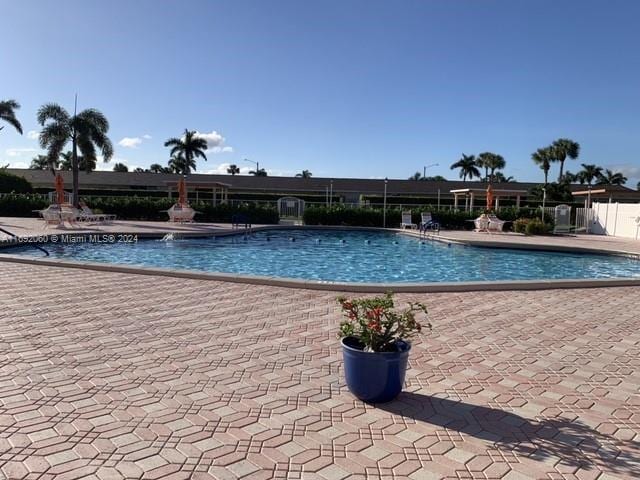 view of pool featuring a patio area