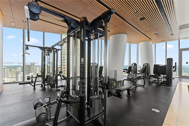 workout area featuring a healthy amount of sunlight and floor to ceiling windows