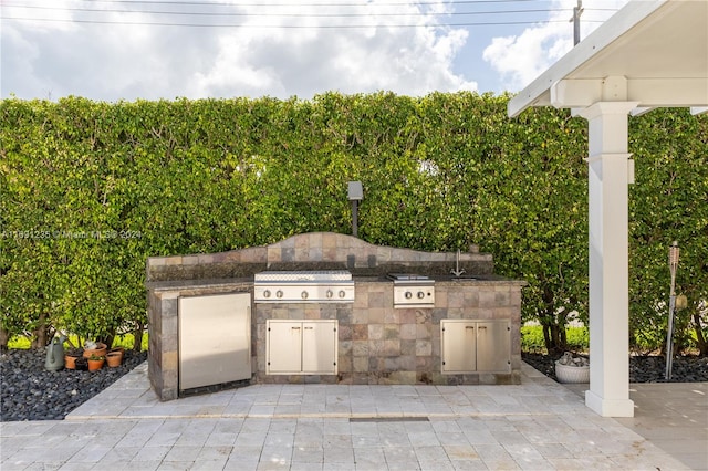 view of patio / terrace with area for grilling and grilling area